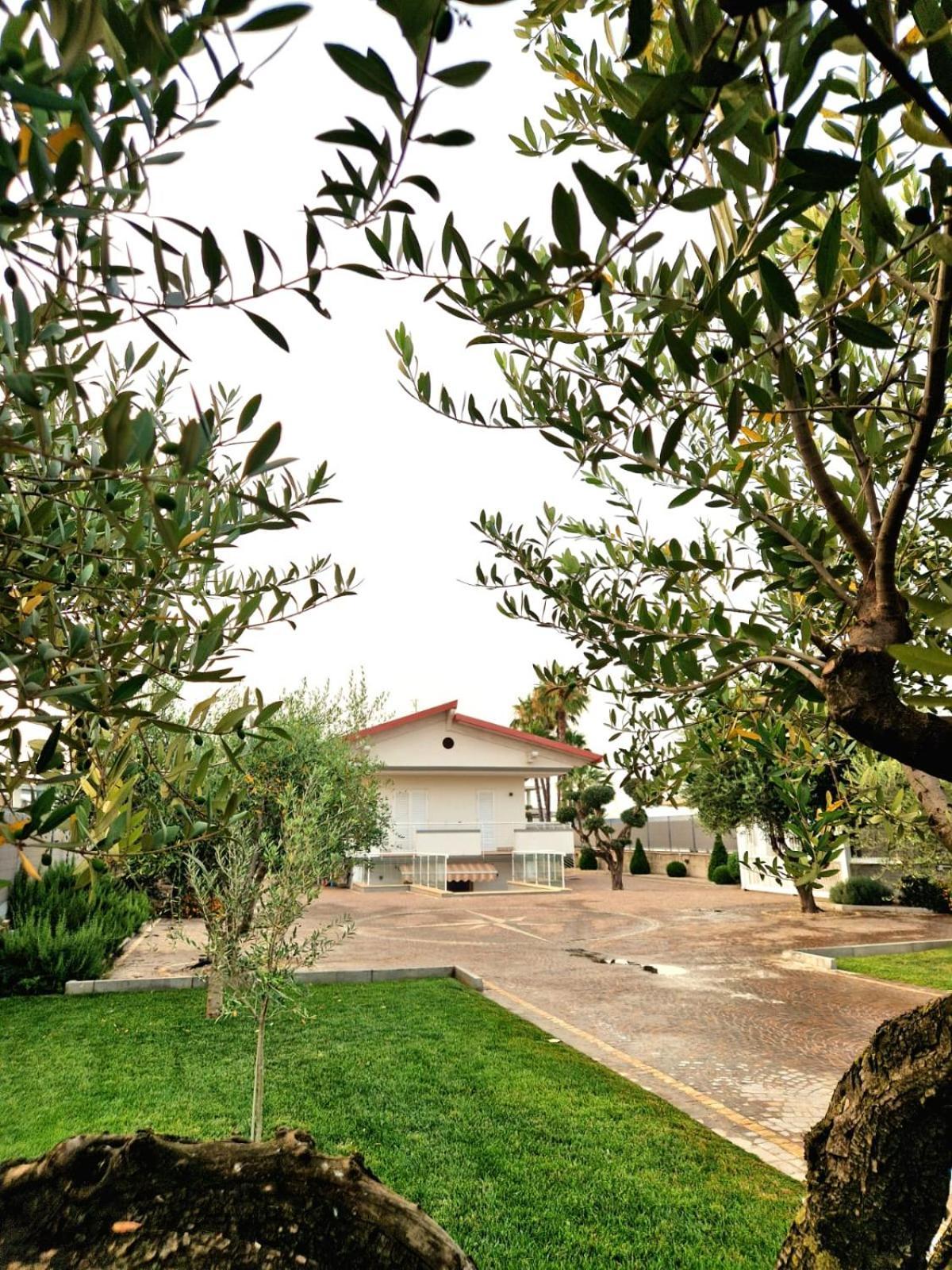 Corte D'Aniello Scafati Eksteriør billede